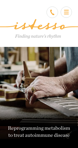 Istesso website mobile design visual