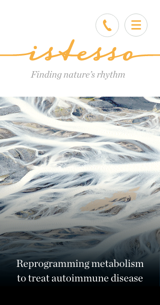 Istesso website mobile design visual