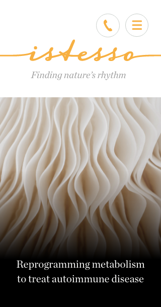 Istesso website mobile design visual