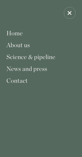 Istesso website mobile design visual