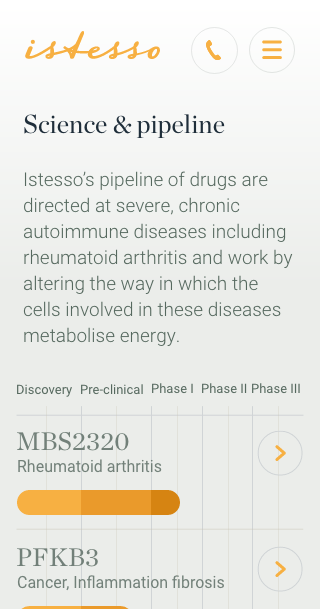 Istesso website mobile design visual