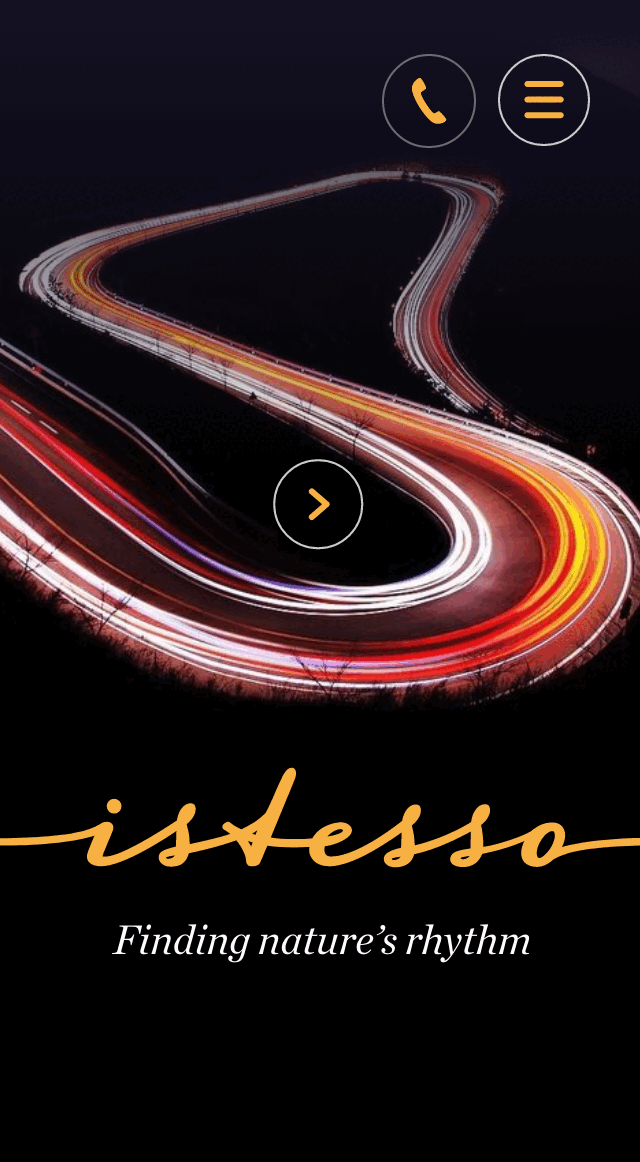 Istesso mobile homepage - rejected concept