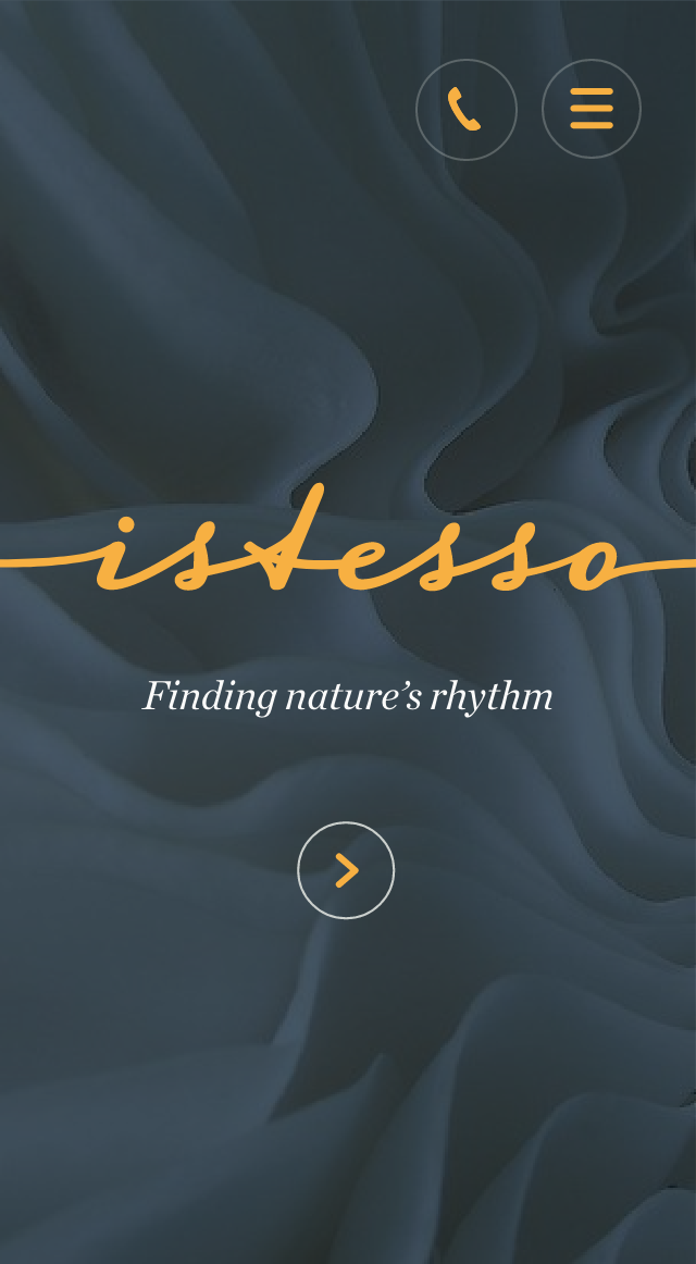 Istesso mobile homepage - rejected concept