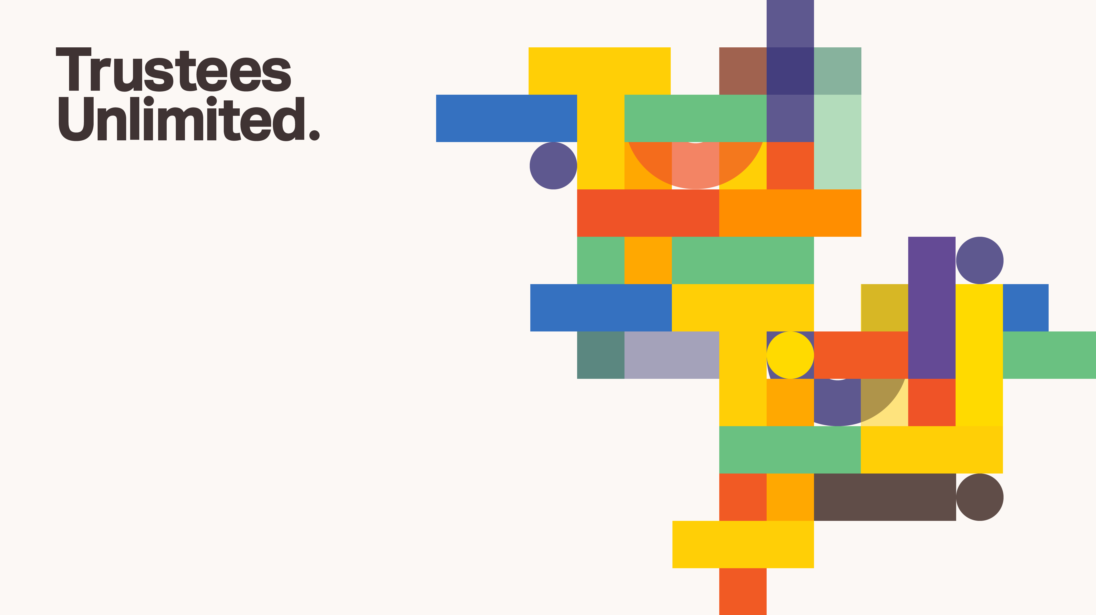 Trustees Unlimited - Rejected branding concept