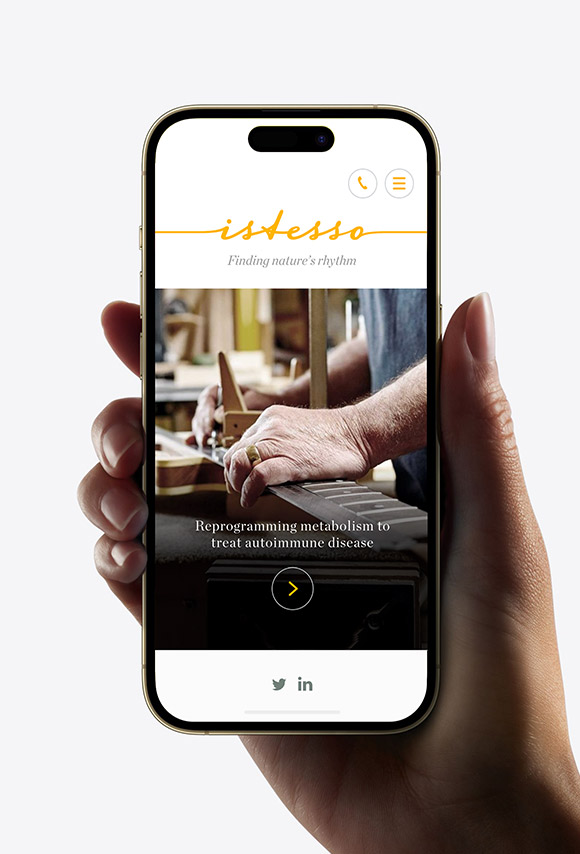 Istesso - Brand, print and UX/UI design